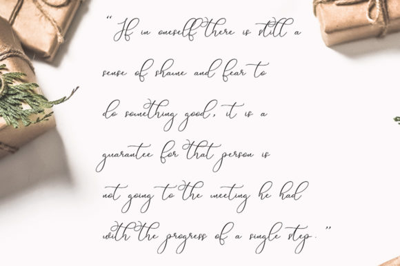 Brigitte Font - Preview 3