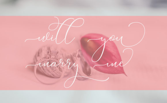 Brigitte Font - Preview 4
