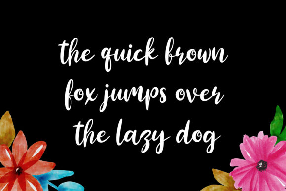 Brushella Font - Preview 1