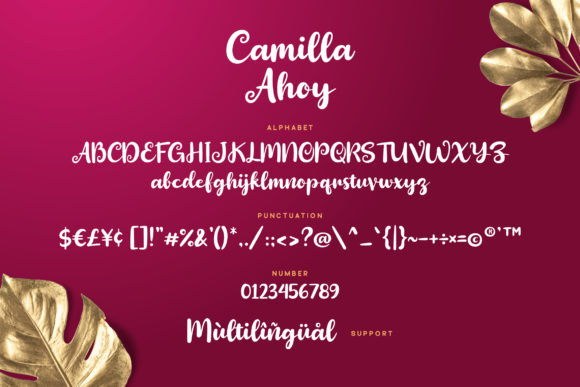 Camilla Ahoy Font - Preview 5