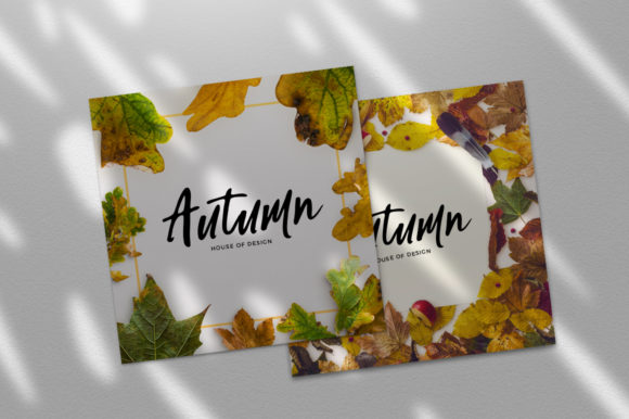 Celiya Script Font - Preview 2