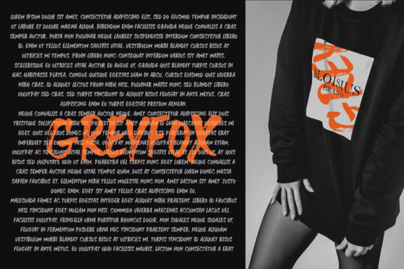 Greyfox Font - Preview 1