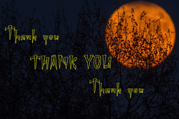 Nightimare Pumpkin Font font preview - 4