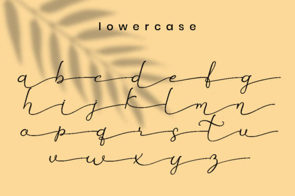 Betti Script Font - Preview 5