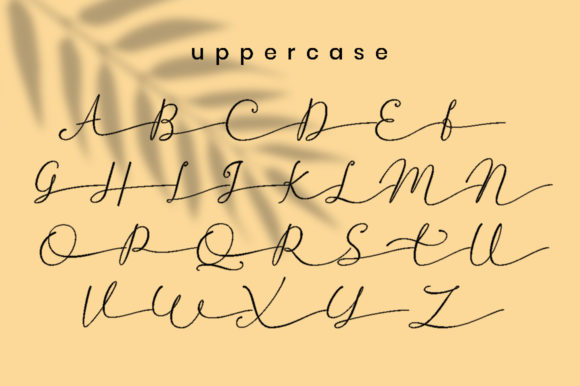 Betti Script Font - Preview 6