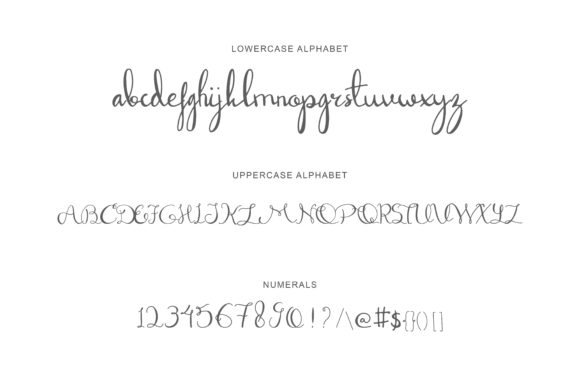 Dandelion Script Font - Preview 4