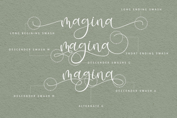 Isyana Script Font PNG with transparent background - Preview 1