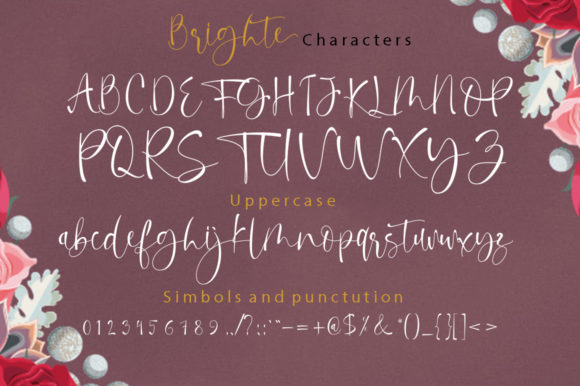 Brighte Font - Preview 5