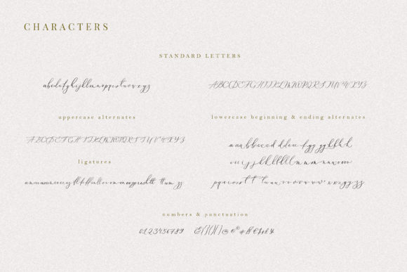 Oriole Bird Font PNG with transparent background - Preview 1