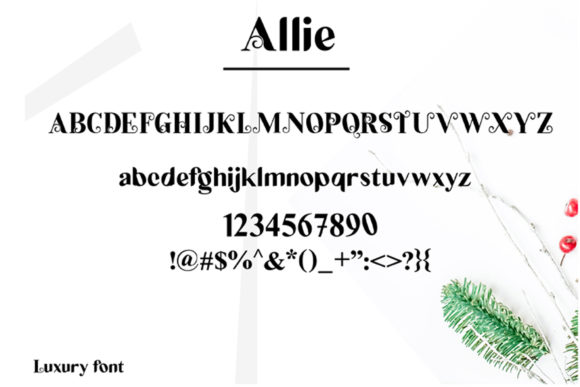 Allie Font - Preview 2