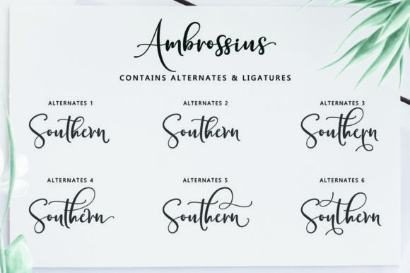 Ambrossius Script Font - Preview 5