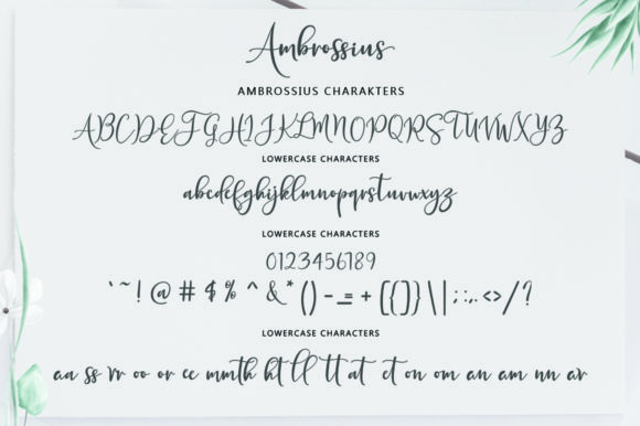 Ambrossius Script Font - Preview 6