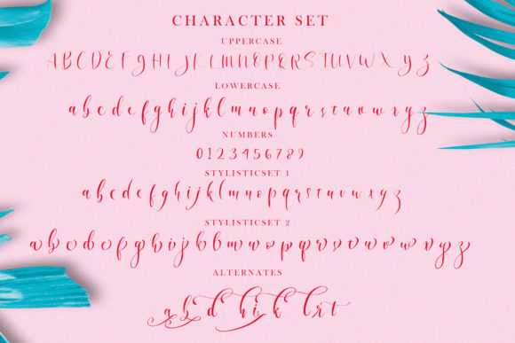 Angelina Font - Preview 6