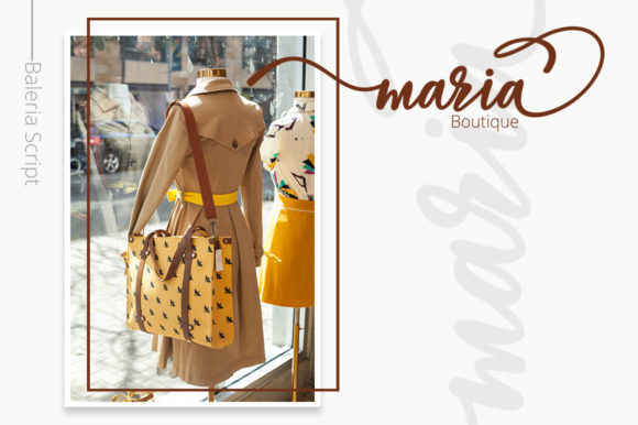 Baleria Script Font - Preview 2