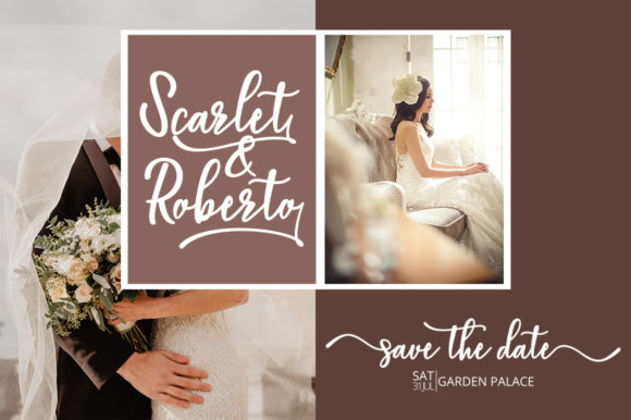 Baleria Script Font - Preview 3