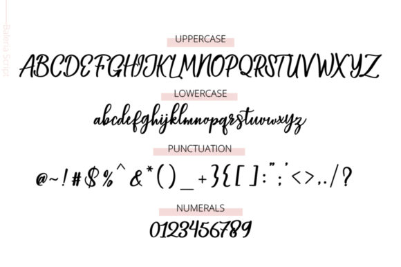 Baleria Script Font - Preview 5