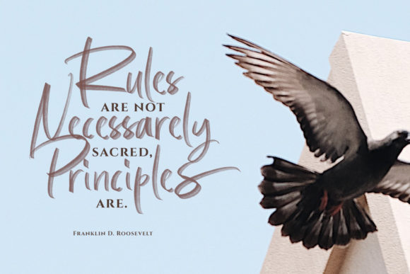 Bargitta Script Font - Preview 2