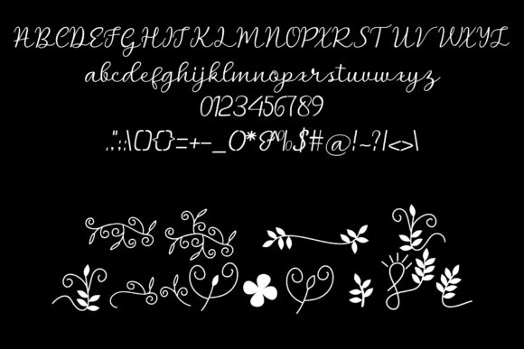 Bella Script Font - Preview 5