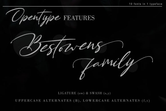 Bestowens Family Font - Preview 3