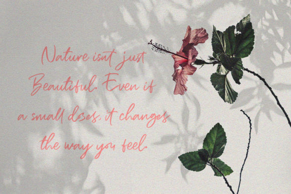 Bogoritmaa Font - Preview 4