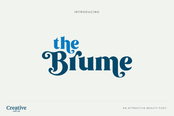 Brume Font - Preview 6