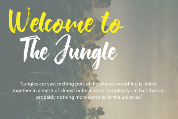 Change Brush Font - Preview 3