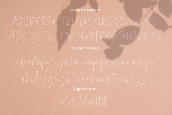 Mellisya Signature Font PNG with transparent background - Preview 1