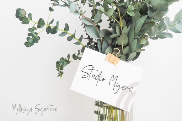 Mellisya Signature Font PNG with transparent background - Preview 2