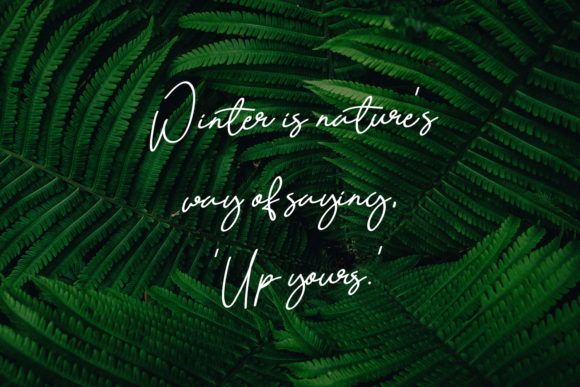 Quetzalli Font PNG with transparent background - Preview 3