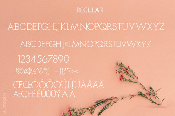 Rangoe Font PNG with transparent background - Preview 2