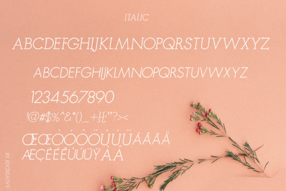 Rangoe Font PNG with transparent background - Preview 3