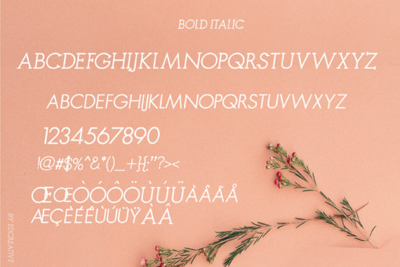 Rangoe Font PNG with transparent background - Preview 4