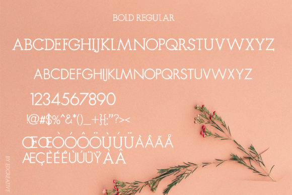 Rangoe Font PNG with transparent background - Preview 5