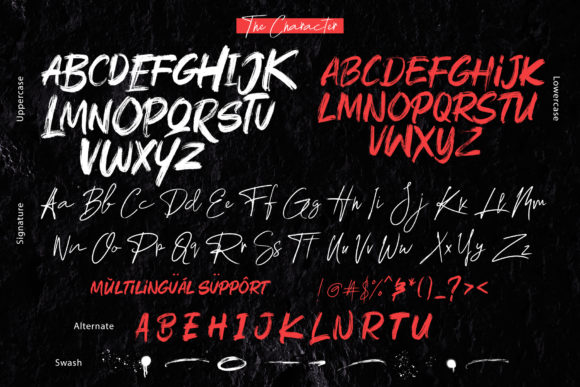 Rushink Duo Font PNG with transparent background - Preview 3