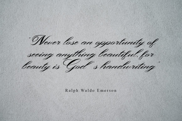 Shergine Font PNG with transparent background - Preview 2
