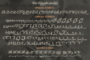Nebraska Cursive Script Wild Nebraska Font by Pasha Larin · Creative Fabrica