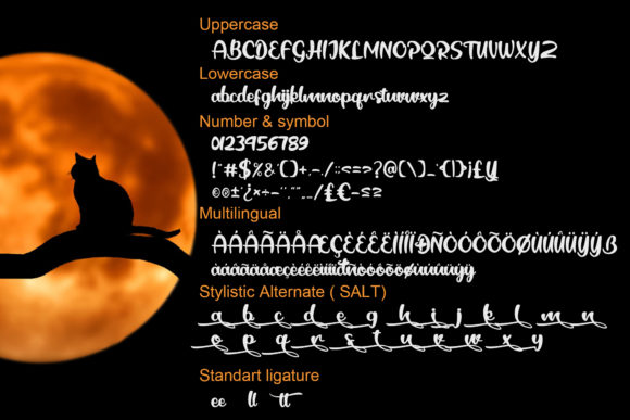 Black Catty Script Font - Preview 6