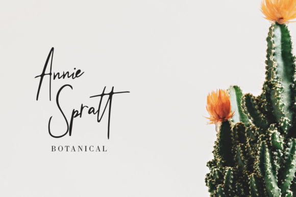 Beringin Font - Preview 5