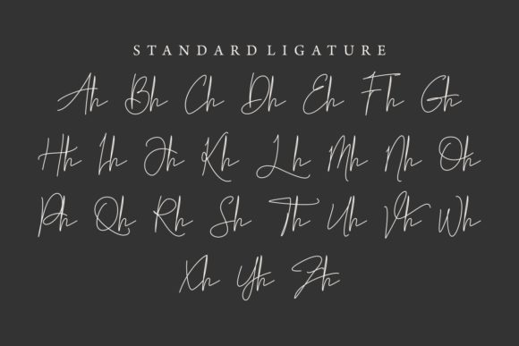 Brillante Luna Piena Font - Preview 5