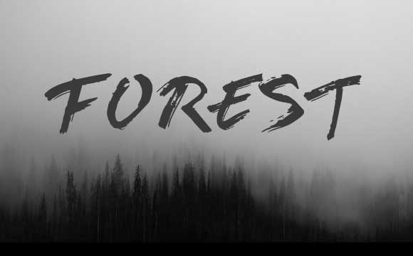 Browen Font - Preview 3
