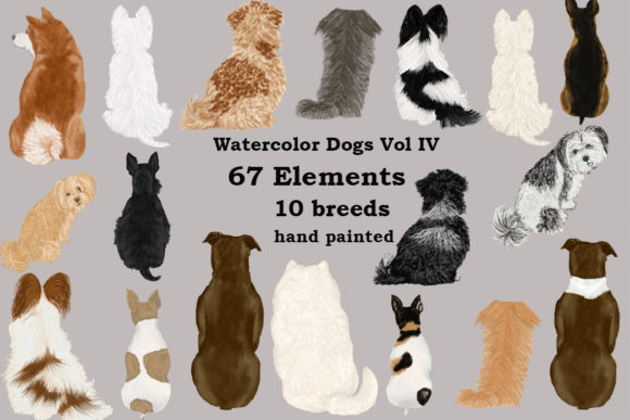 Dog Clipart, Dog Breeds, Pet Clipart Graphic Illustrations By LeCoqDesign