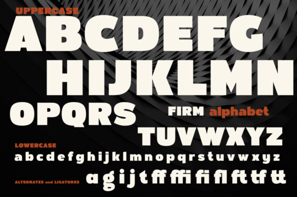 Firm Font - Preview 6