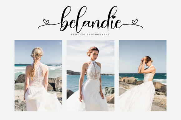 Paisley Script Font PNG with transparent background - Preview 3