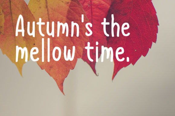 Autumn Happiness Font - Preview 1