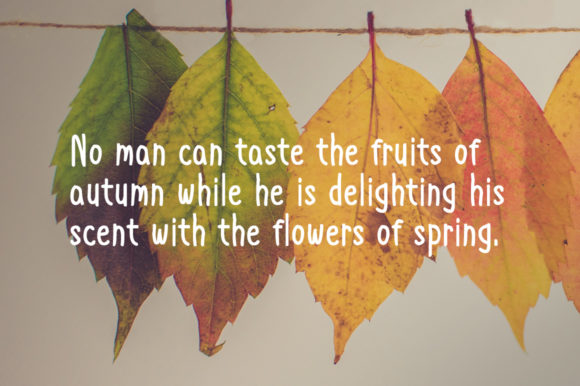 Autumn Happiness Font - Preview 2