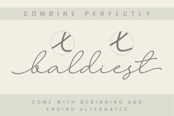 Larianti Monoline Font PNG with transparent background - Preview 5