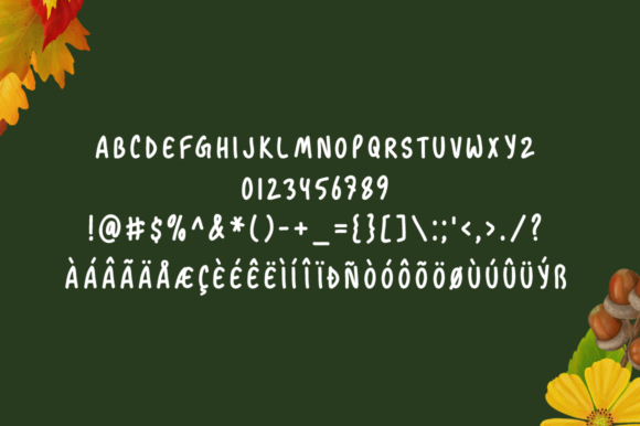 Autumn Season Font - Preview 3