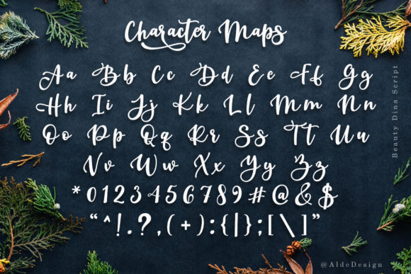 Beauty Dina Font - Preview 6
