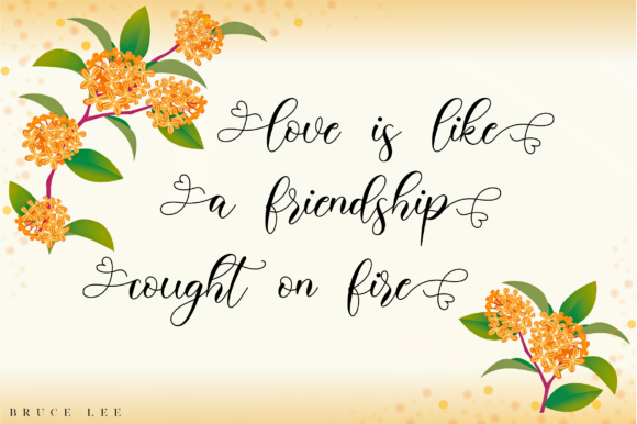 Belisha Font - Preview 6