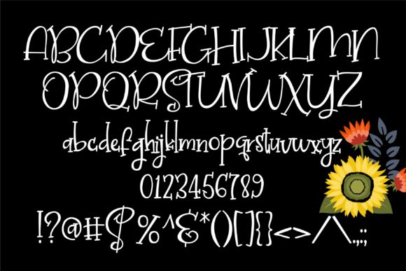 Bellinghaus Font - Preview 2